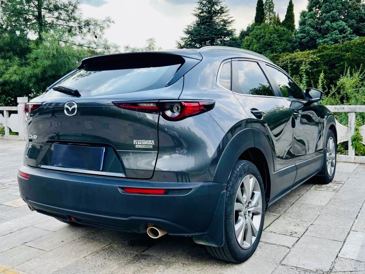 馬自達 CX-30  2020款 2.0L 自動嘉悅型圖片