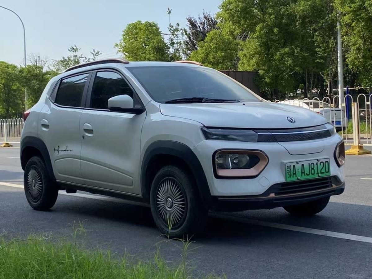 東風(fēng)新能源 納米BOX  2022款 輕風(fēng)版 201KM 閃電型圖片