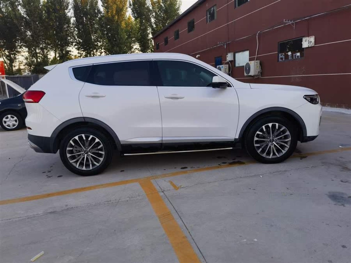 哈弗 H6  2020款 2.0GDIT 自動鉑金冠軍版圖片