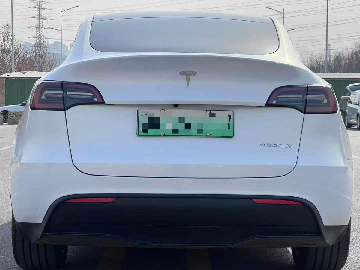 特斯拉 Model S  2023款 三電機(jī)全輪驅(qū)動(dòng) Plaid版圖片