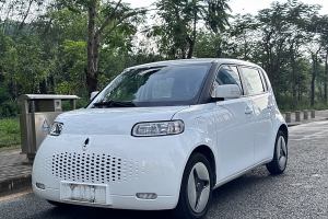 欧拉白猫 欧拉 360km 标准型