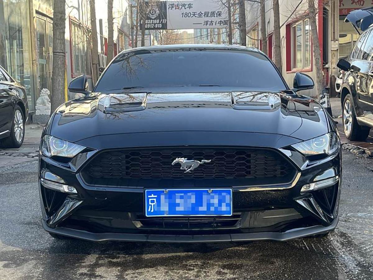 福特 Mustang  2020款 2.3L EcoBoost圖片