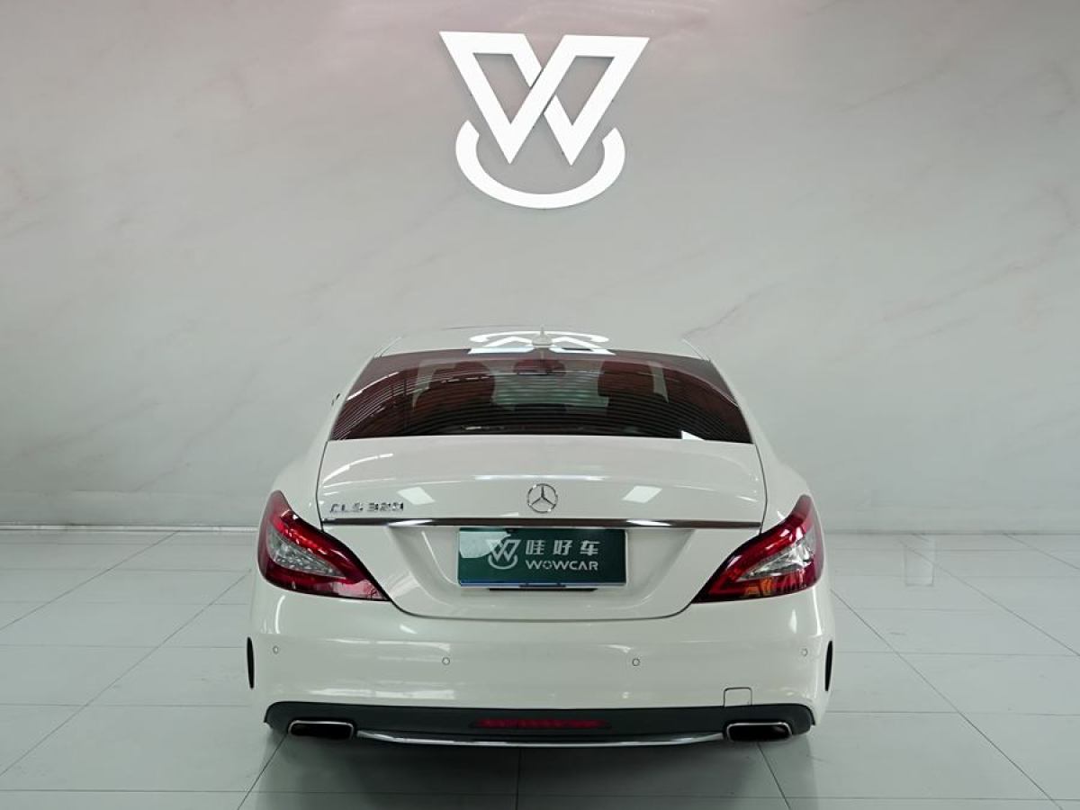 奔馳 奔馳CLS級(jí)  2015款 CLS 320圖片