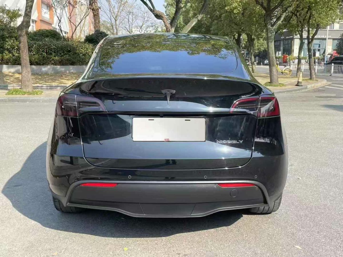 特斯拉 Model 3  2022款 Performance高性能全輪驅(qū)動版圖片