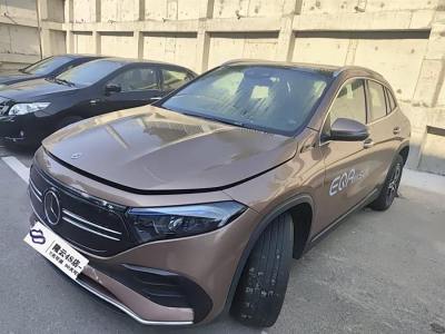 2022年1月 奔驰 奔驰EQA EQA 300 4MATIC 首发特别版图片