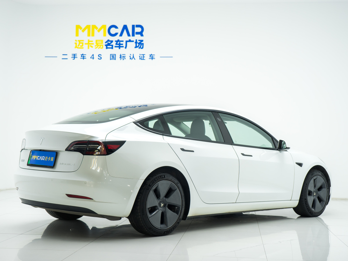 特斯拉 Model 3  2021款 標(biāo)準(zhǔn)續(xù)航后驅(qū)升級(jí)版 3D6圖片