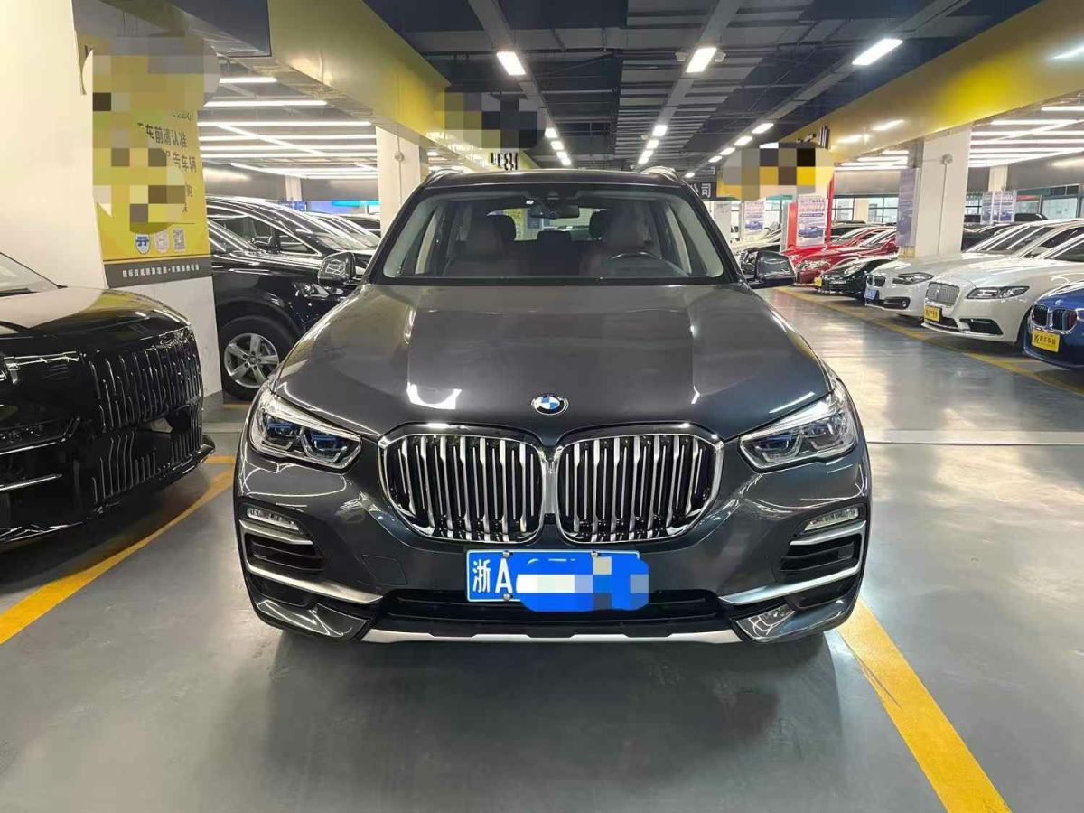 寶馬 寶馬X5  2019款 xDrive30i X設(shè)計(jì)套裝圖片