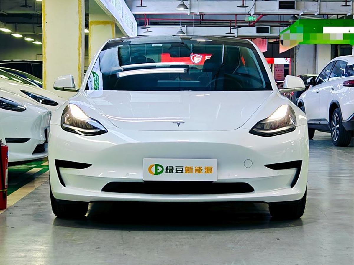 特斯拉 Model 3  2019款 標準續(xù)航后驅(qū)升級版圖片