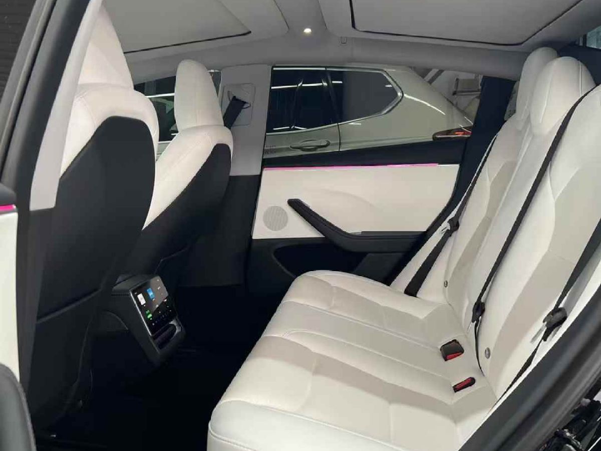 特斯拉 Model Y  2024款 Performance高性能版圖片