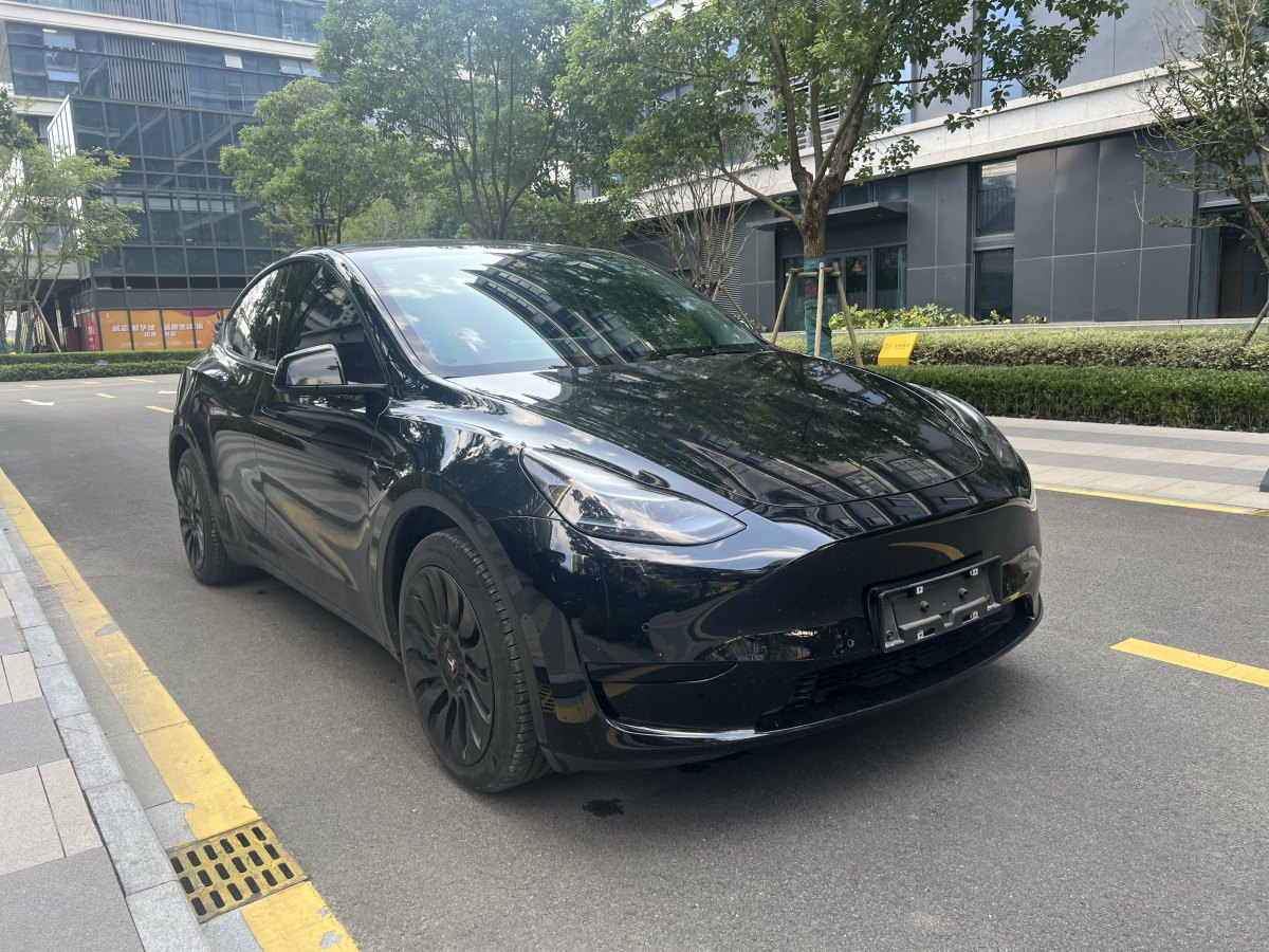 特斯拉 Model Y  2022款 后輪驅(qū)動(dòng)版圖片