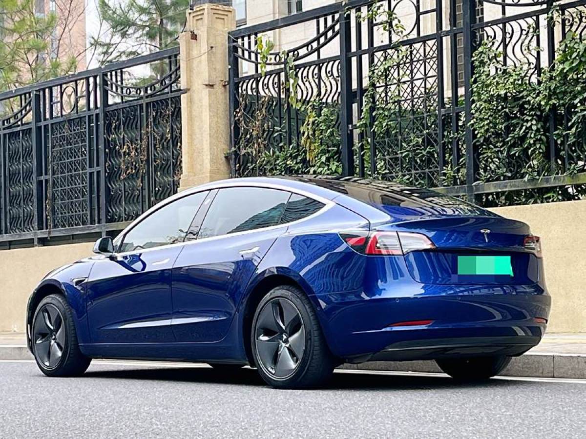 特斯拉 Model 3  2019款 標(biāo)準(zhǔn)續(xù)航后驅(qū)升級版圖片