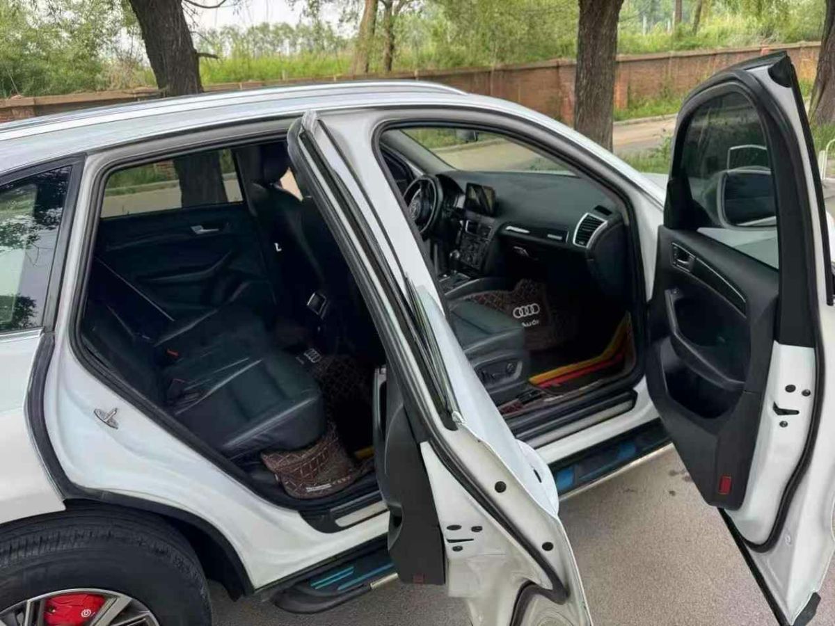 奧迪 奧迪Q5  2010款 Q5 2.0TSI 首發(fā)限量版運(yùn)動(dòng)版圖片