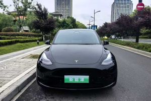 Model Y 特斯拉 Performance高性能全輪驅(qū)動(dòng)版