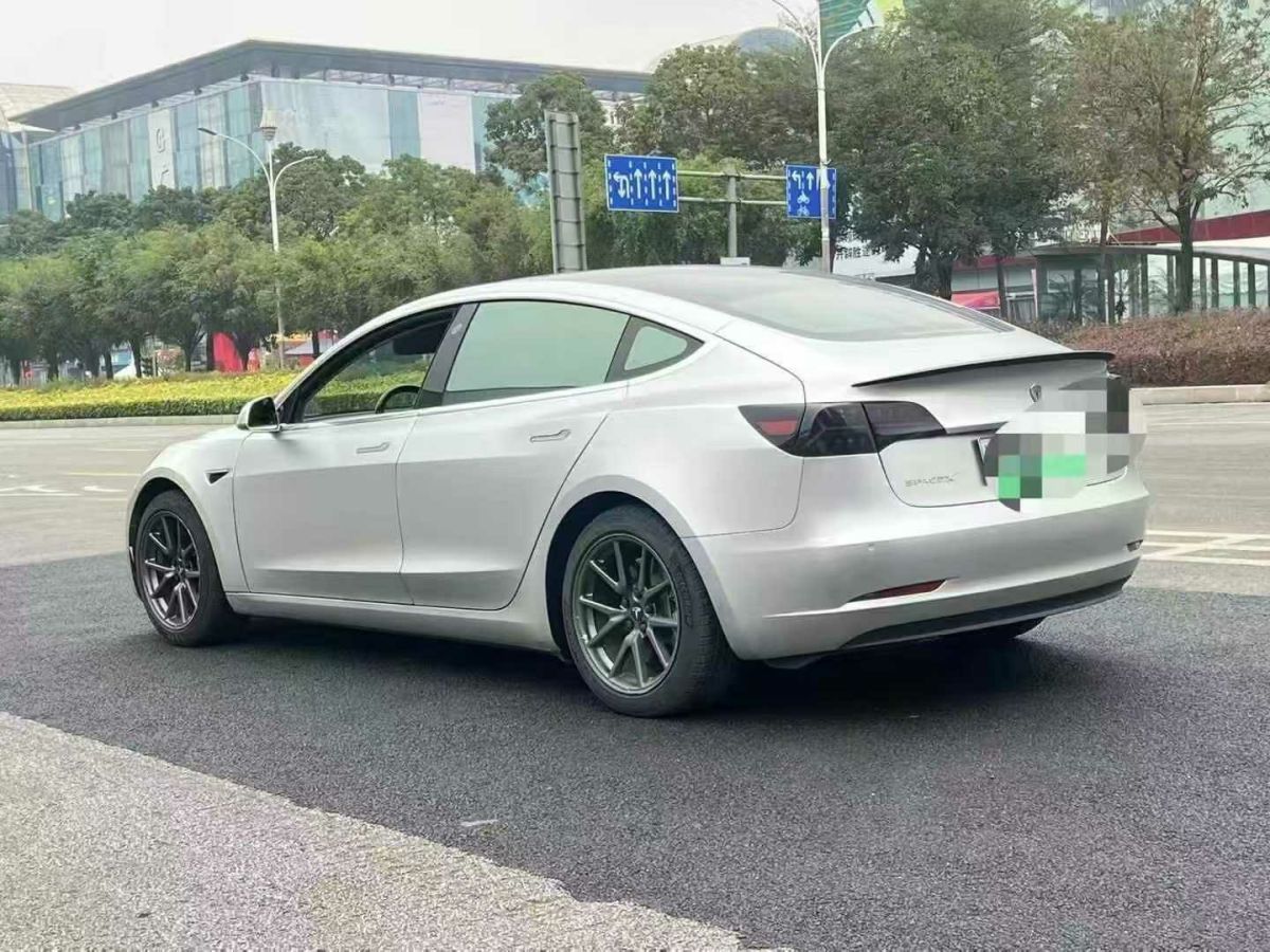 特斯拉 Model X  2020款 Performance 高性能版圖片