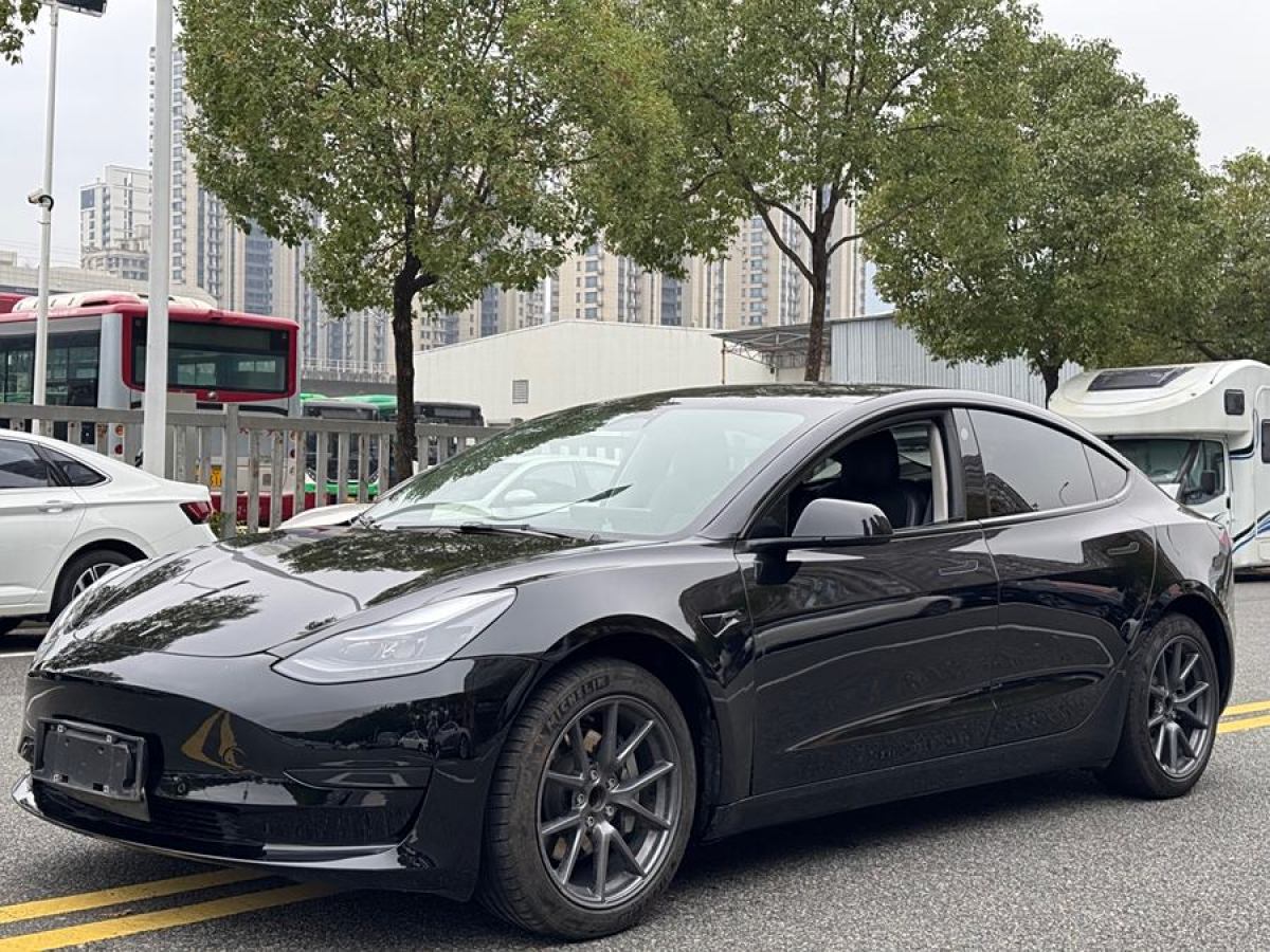 特斯拉 Model 3  2021款 標(biāo)準(zhǔn)續(xù)航后驅(qū)升級(jí)版 3D6圖片