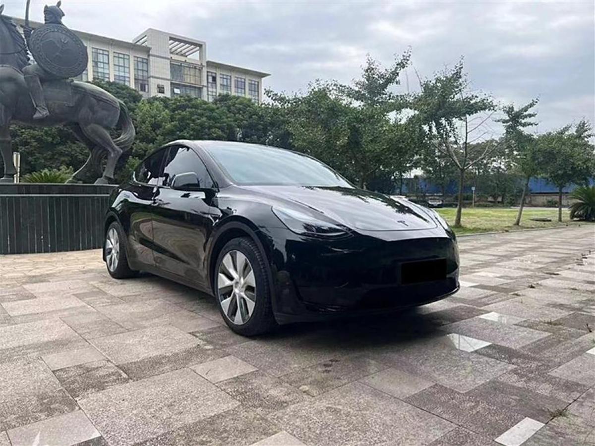 特斯拉 Model Y  2022款 后輪驅(qū)動(dòng)版圖片