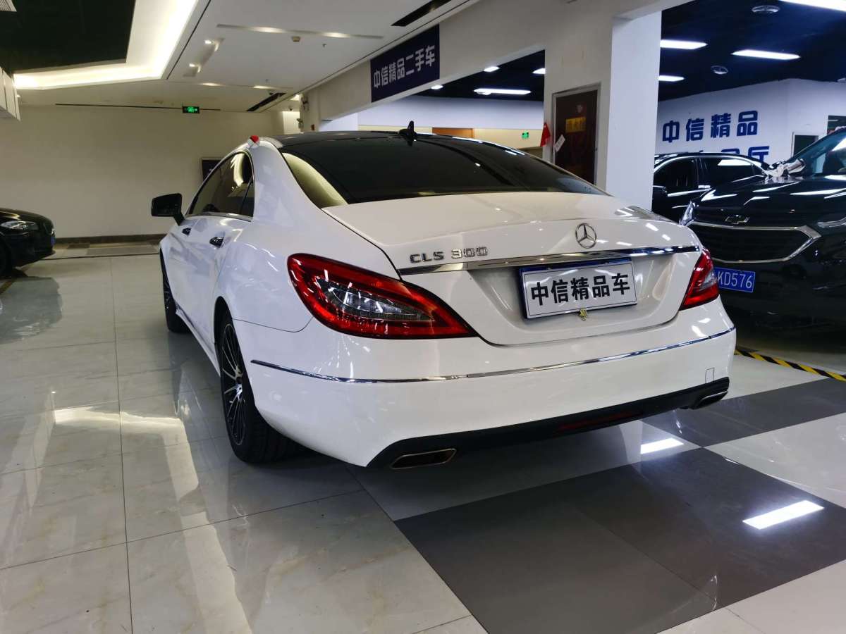 奔驰 奔驰cls级 2012款 cls 300 cgi图片