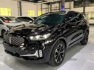 2020年9月 WEY VV6 2.0T 两驱智护+图片