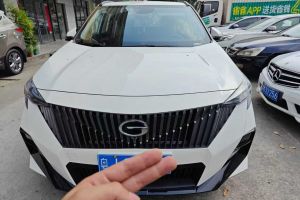 傳祺E8 廣汽傳祺 150km MAX