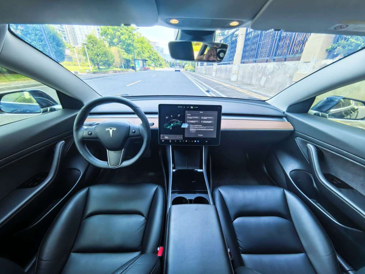 特斯拉 Model 3  2019款 标准续航后驱升级版图片