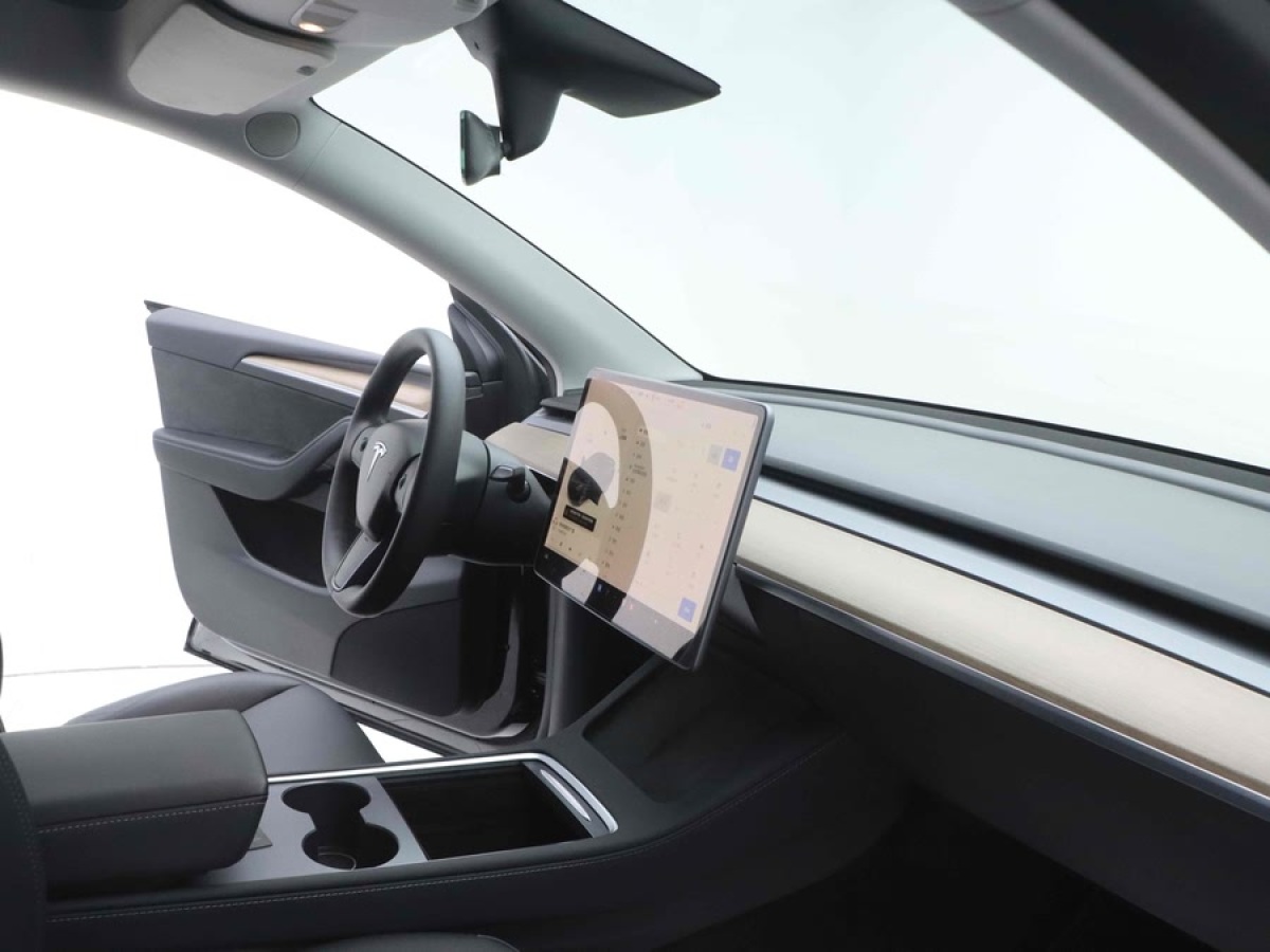 特斯拉 Model Y  2021款 標(biāo)準續(xù)航后驅(qū)版圖片
