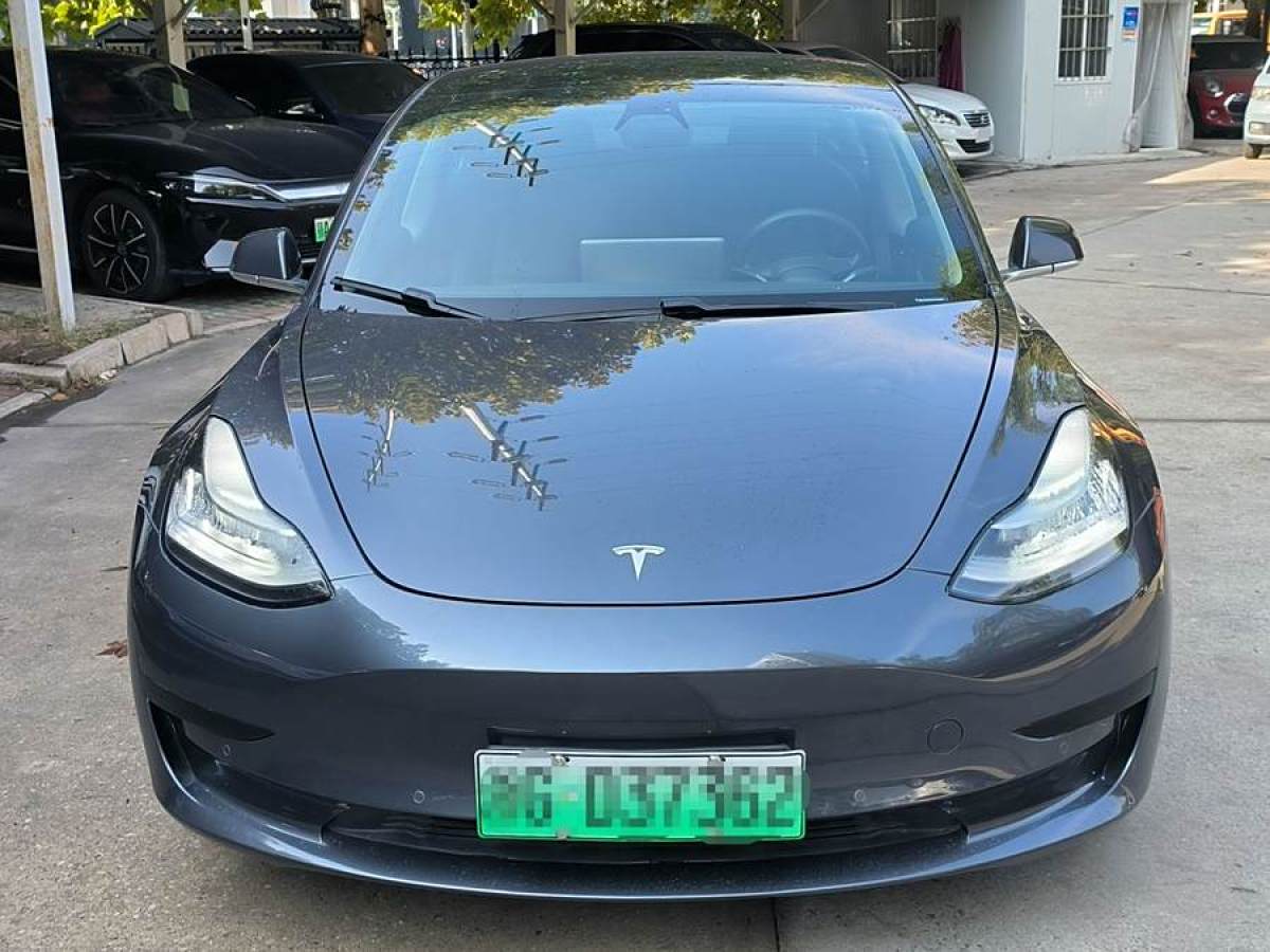 特斯拉 Model 3  2020款 改款 標準續(xù)航后驅升級版圖片