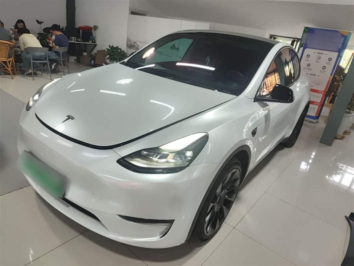 特斯拉 Model Y  2021款 標準續(xù)航后驅版圖片