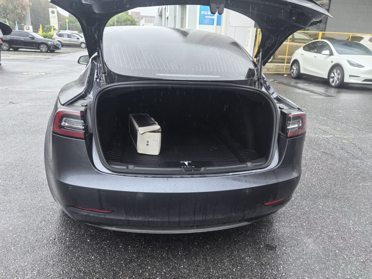 特斯拉 Model 3  2019款 長(zhǎng)續(xù)航全輪驅(qū)動(dòng)版圖片