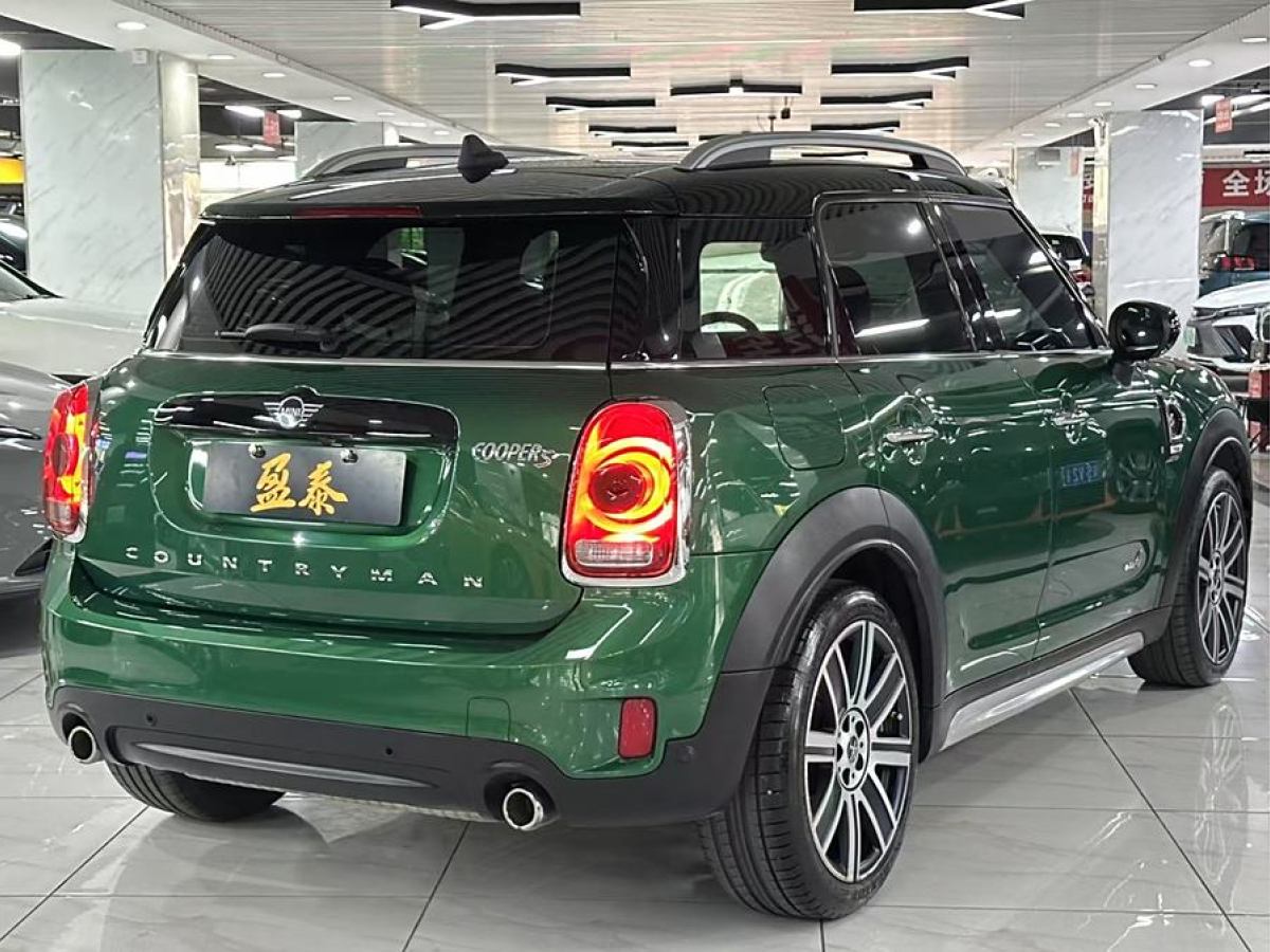 MINI COUNTRYMAN  2019款 2.0T COOPER S ALL4 藝術(shù)家圖片