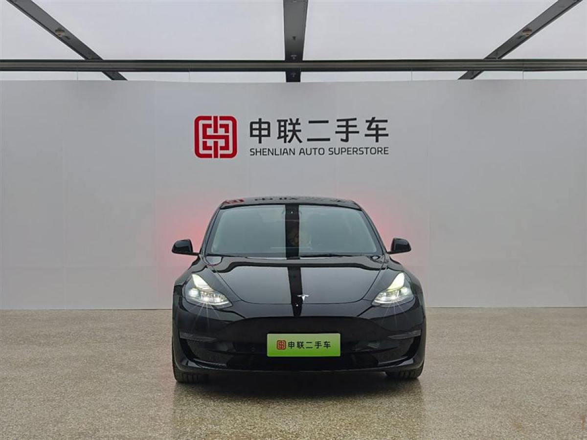 特斯拉 Model 3  2021款 改款二 Performance高性能全輪驅(qū)動版圖片