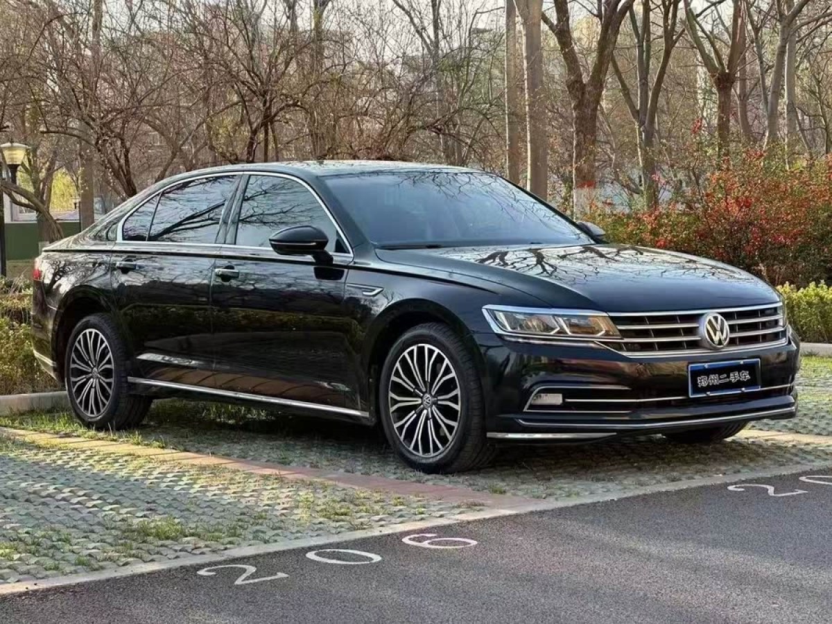 大眾 輝昂  2019款  380TSI 兩驅(qū)商務版 國V圖片