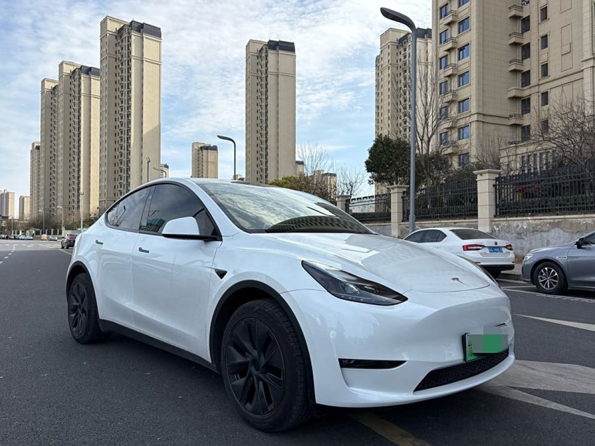 特斯拉 Model Y  2024款 長續(xù)航全輪驅(qū)動(dòng)版圖片