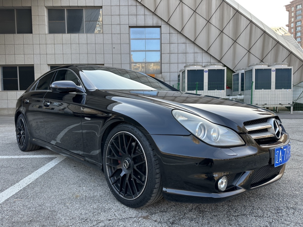 奔馳 奔馳CLS級  2009款 CLS 350圖片