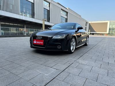 2013年10月 奥迪 奥迪TT(进口) TT Coupe 45 TFSI 黑色旋风版图片