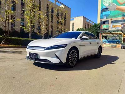 2022年7月 比亞迪 漢 EV 標(biāo)準(zhǔn)續(xù)航版豪華型圖片