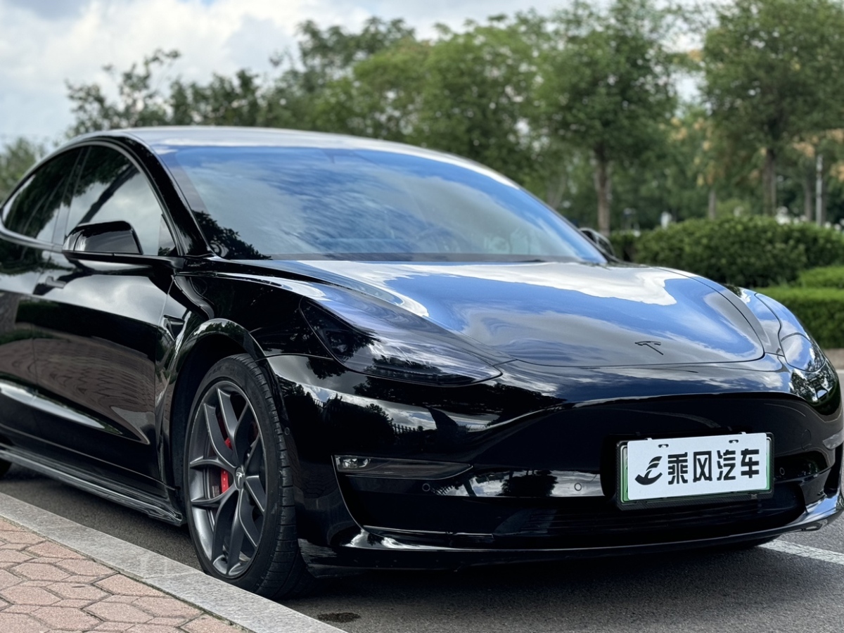 特斯拉 Model Y  2021款 Performance高性能全轮驱动版图片