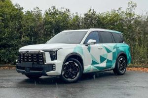 傳祺E9 廣汽傳祺 E9 MAX