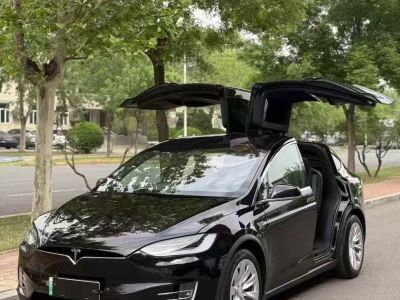 2019年1月 特斯拉 Model S Performance 高性能版圖片