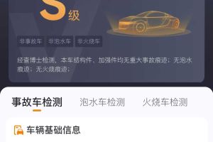 寶馬X4 寶馬 xDrive25i 黑騎士限量版