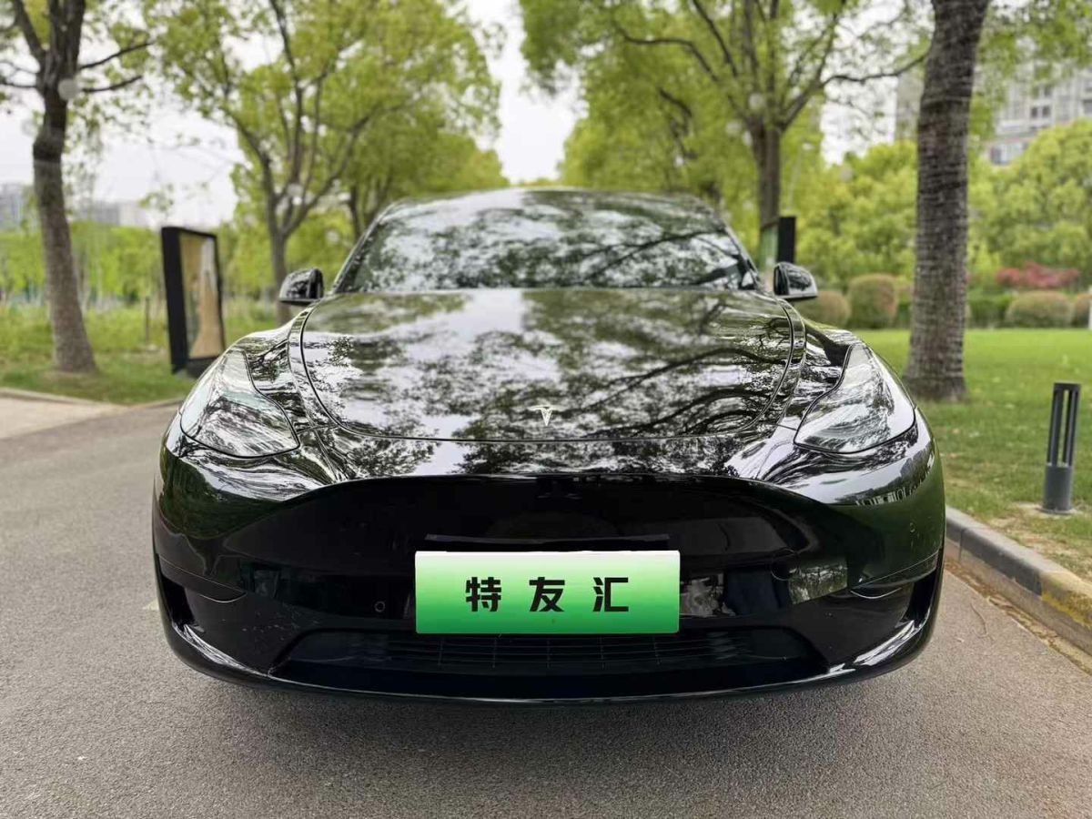 特斯拉 Model Y  2022款 Performance高性能全輪驅(qū)動版圖片