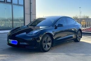 Model 3 特斯拉 后轮驱动版