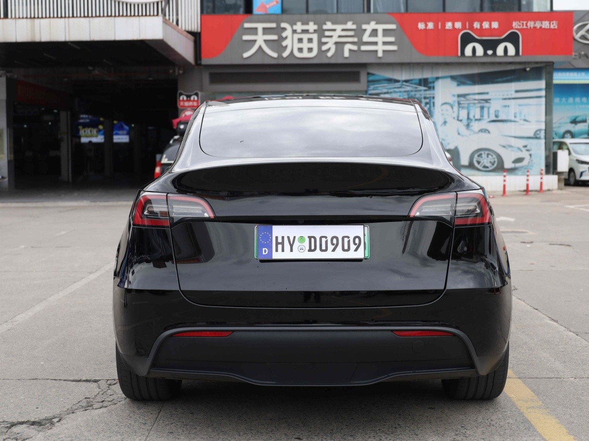 特斯拉 Model Y  2020款 改款 長(zhǎng)續(xù)航后輪驅(qū)動(dòng)版圖片