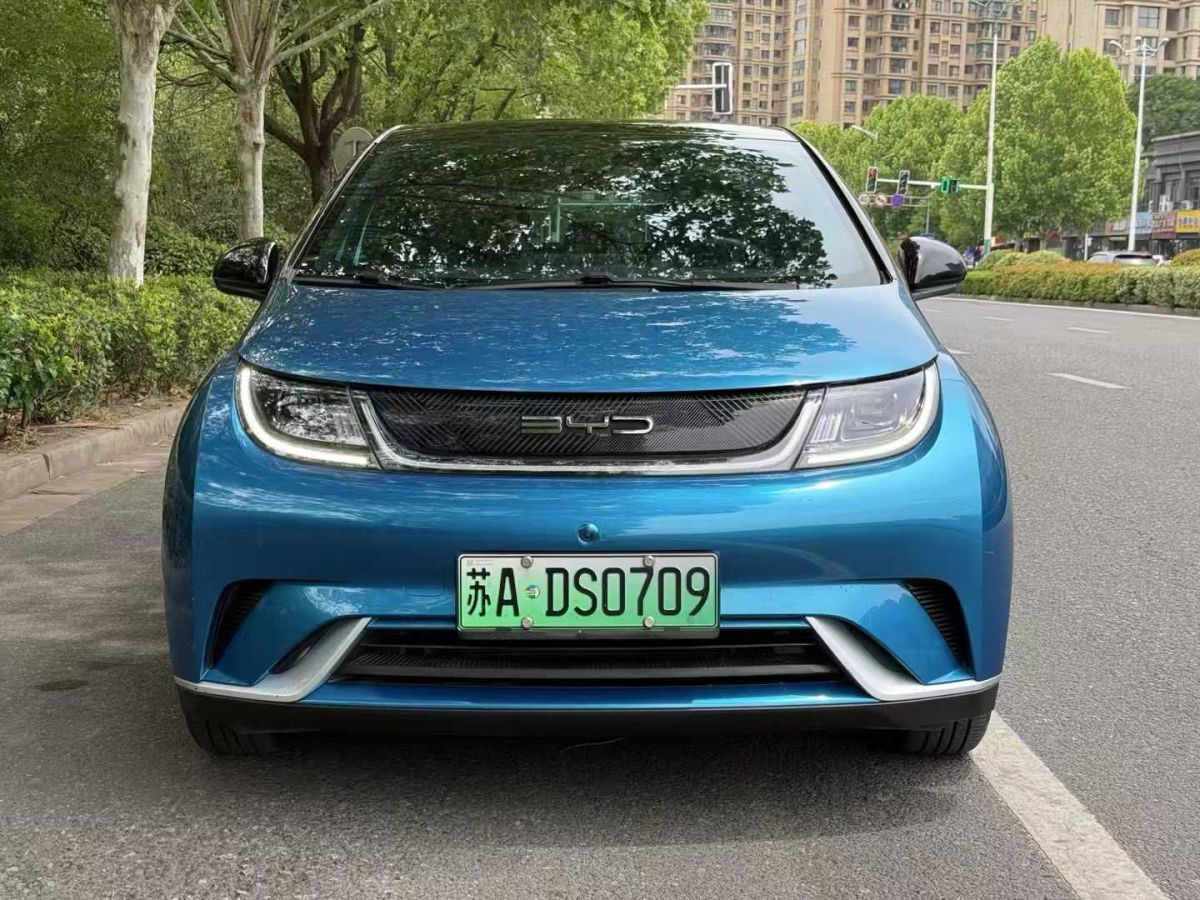 比亞迪 海豚 圖片