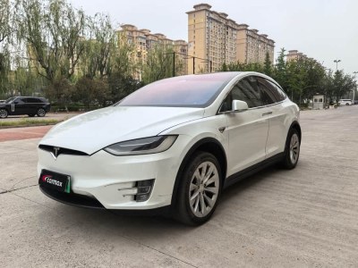 2018年1月 特斯拉 Model X Model X 100D 長續(xù)航版圖片