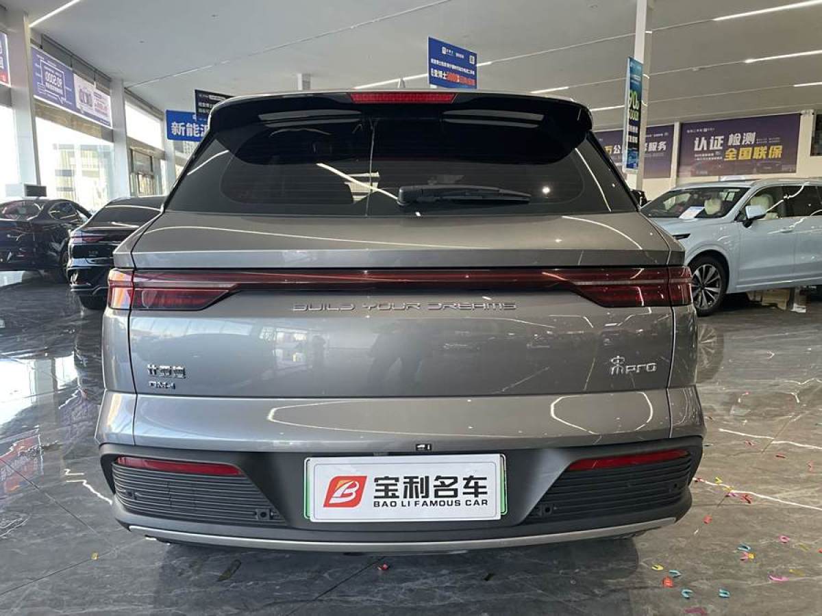 比亞迪 宋Pro新能源  2024款 榮耀版 DM-i 110KM卓越型圖片