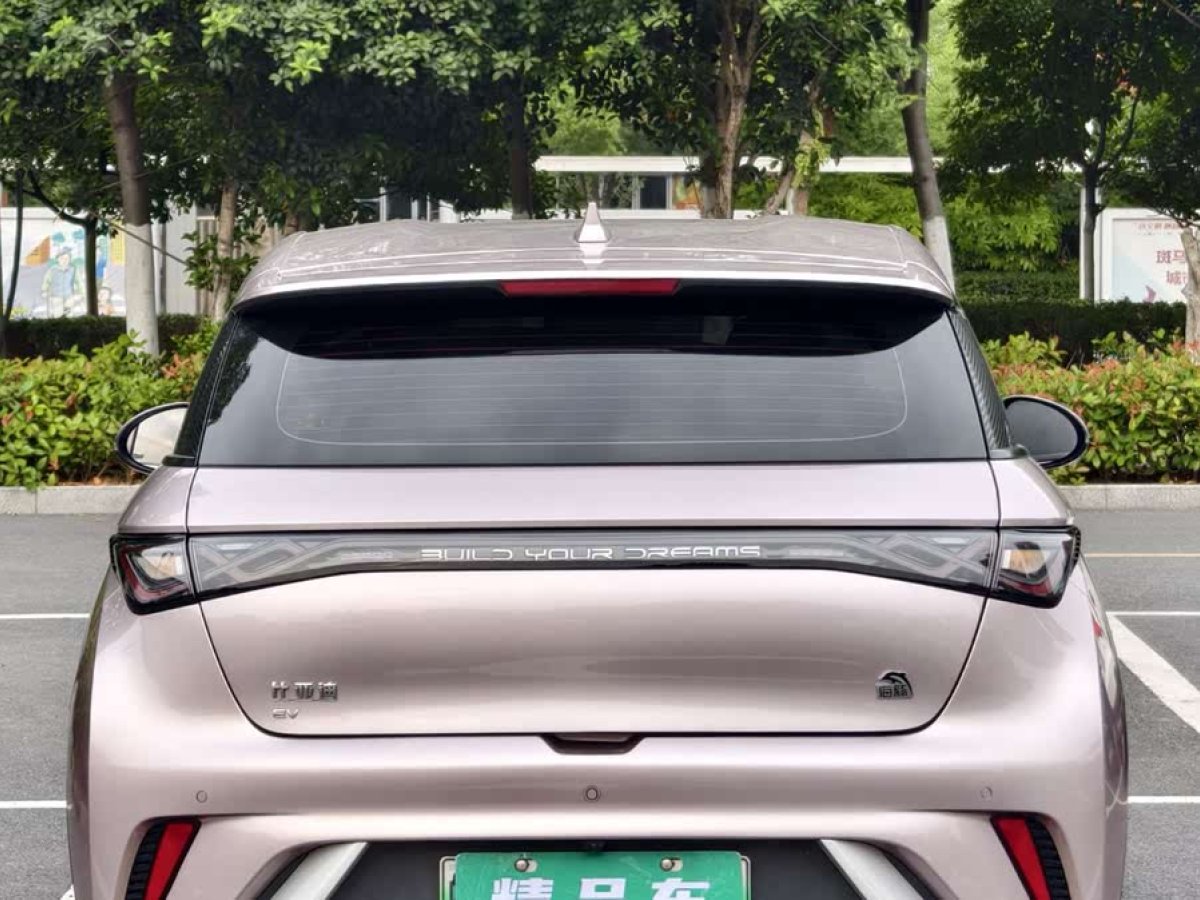 比亞迪 海豚  2021款 405km 時尚版圖片
