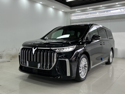 2024年6月 嵐圖 夢(mèng)想家 PHEV 超長續(xù)航尊貴版圖片