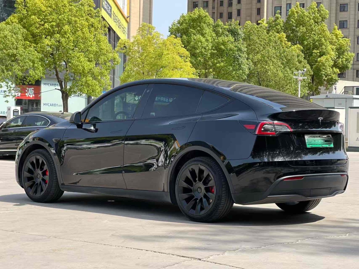 特斯拉 Model Y  2022款 改款 長(zhǎng)續(xù)航全輪驅(qū)動(dòng)版圖片