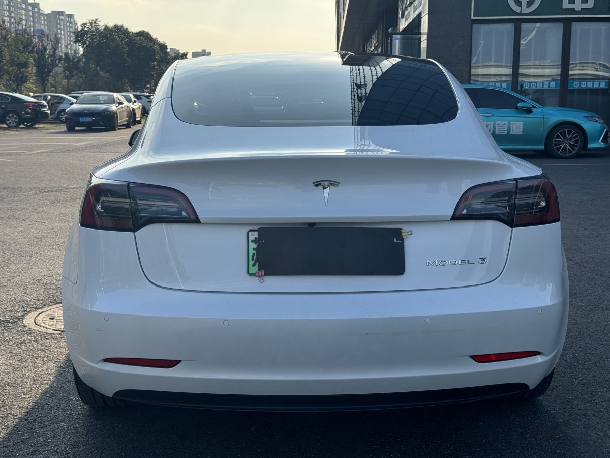 特斯拉 Model Y  2021款 標(biāo)準(zhǔn)續(xù)航后驅(qū)升級(jí)版 3D6圖片