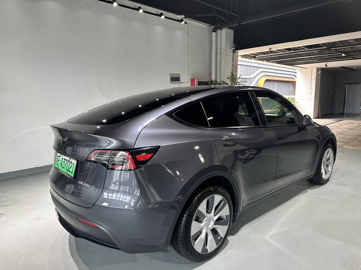 特斯拉 Model Y  2020款 改款 長續(xù)航后輪驅動版圖片